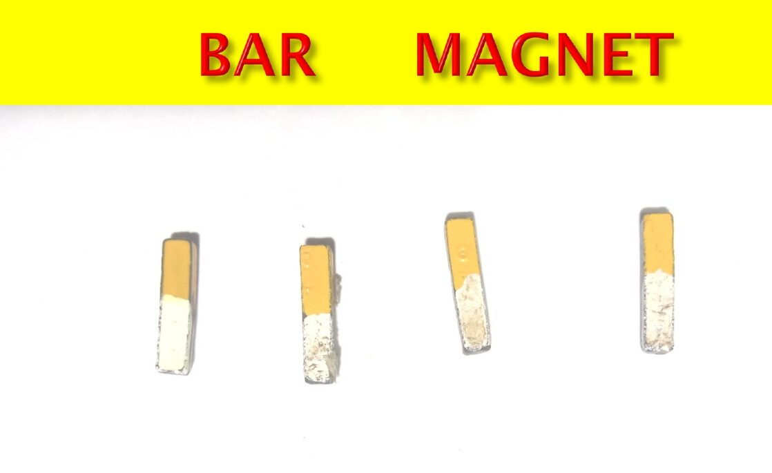 Bar Magnet Training Class course