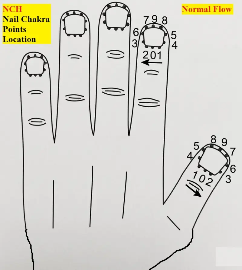 Left hand nail chakra points location diagram showing NCH points and normal flow direction