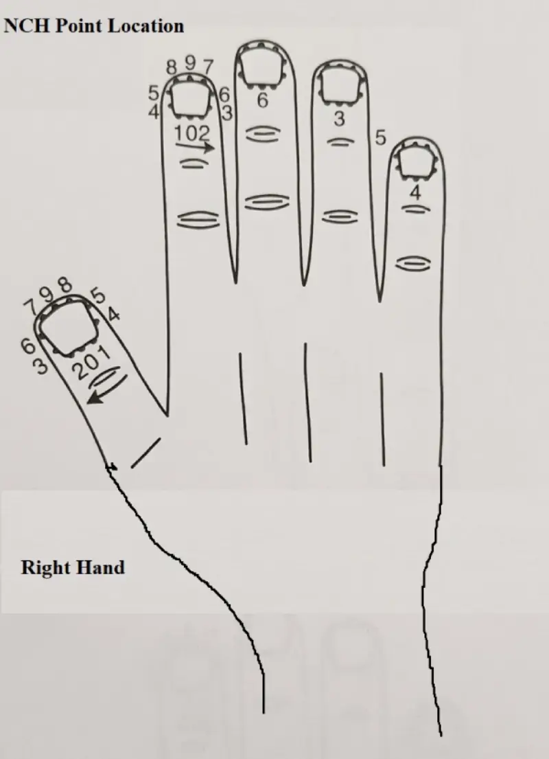 दाएं हाथ का नेल चक्र पॉइंट लोकेशन नंबर सिस्टम चार्ट जिसमें एक्यूप्रेशर पॉइंट और 10 elements का संबंध दिखाया गया है