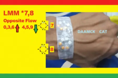 Immunity Builder LMM Therapy wrist magnet placement opposite flow 7 8 points Sujok therapy