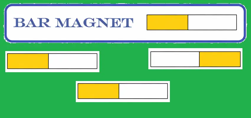 Bar Magnet Training Class course